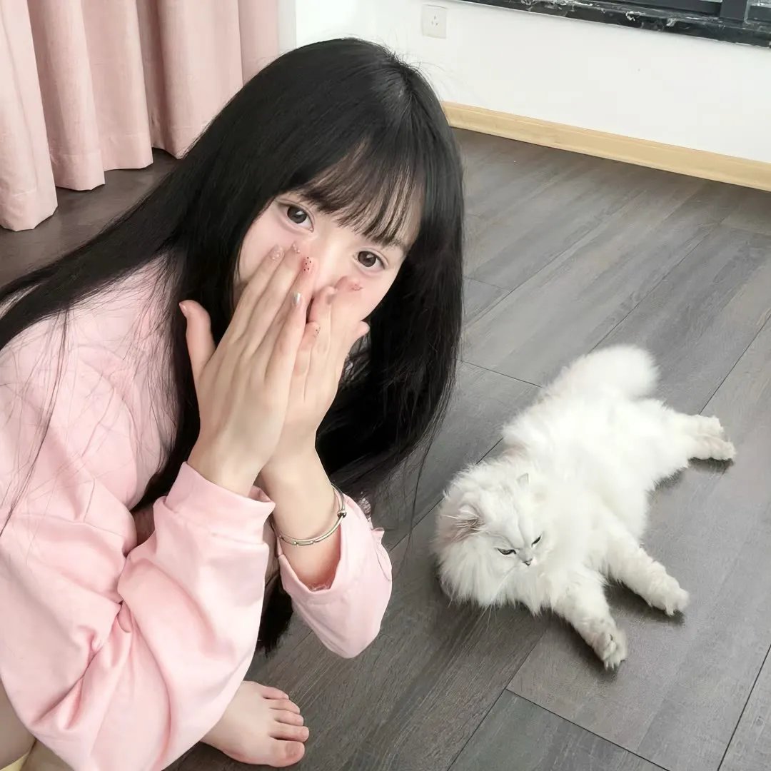 狮心王理查